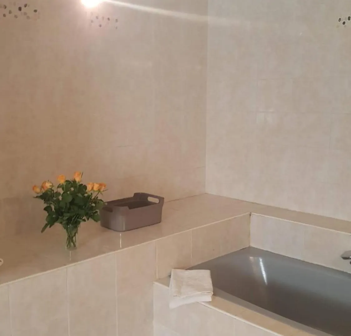Avignon Hyper Centre Apartment
